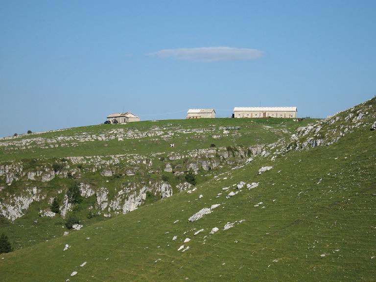 Immagine 35.jpg